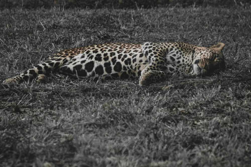 nap-time.jpg
