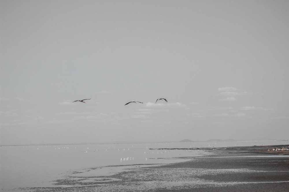 IMG_4111.jpg