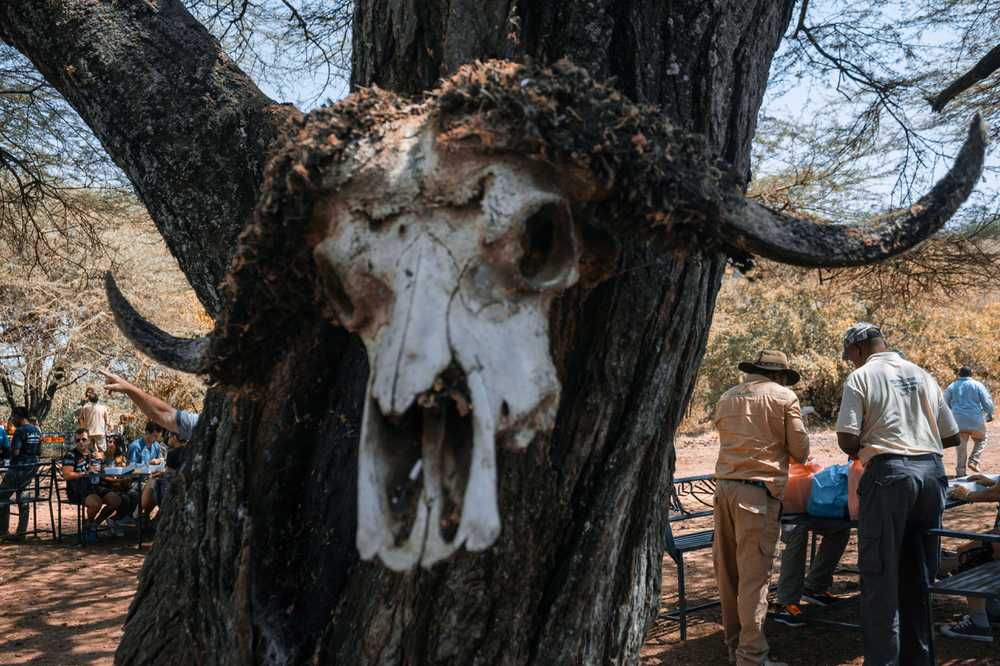 bone.jpg