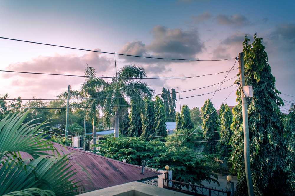 tanzania.jpg