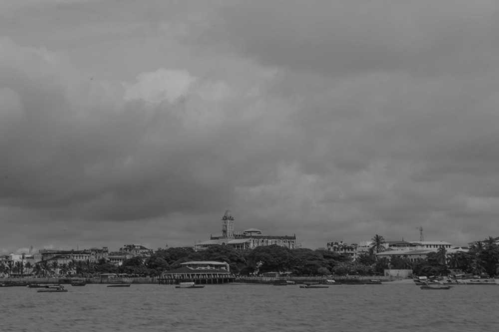 IMG_4555.jpg